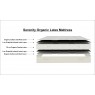 Serenity Organic Latex Mattress